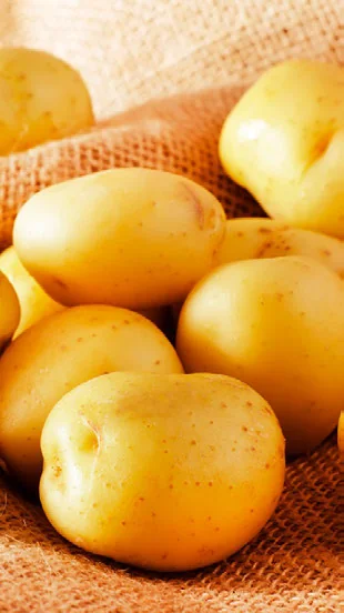 Como Plantar Batata em Casa passo a passo