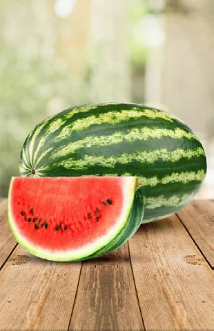 Dá para Cultivar Melancia com Pouca Luz? passo a passo