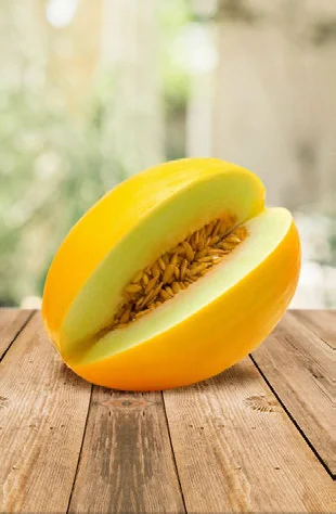 Melão Orgânica em Casa: Como Produzir passo a passo