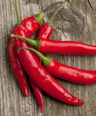 Como Propagar Pimenta em Casa sem Gastar passo a passo