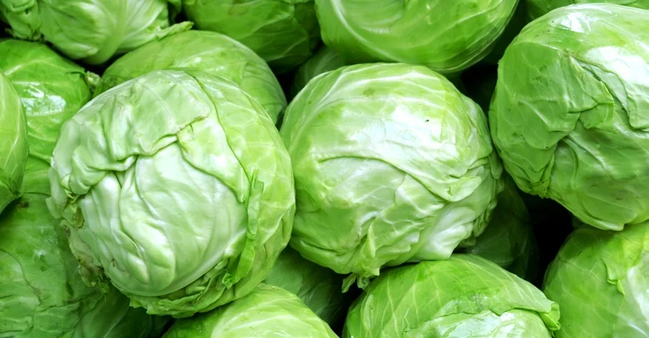 Adubo Caseiro para Repolho: Receitas Naturais passo a passo